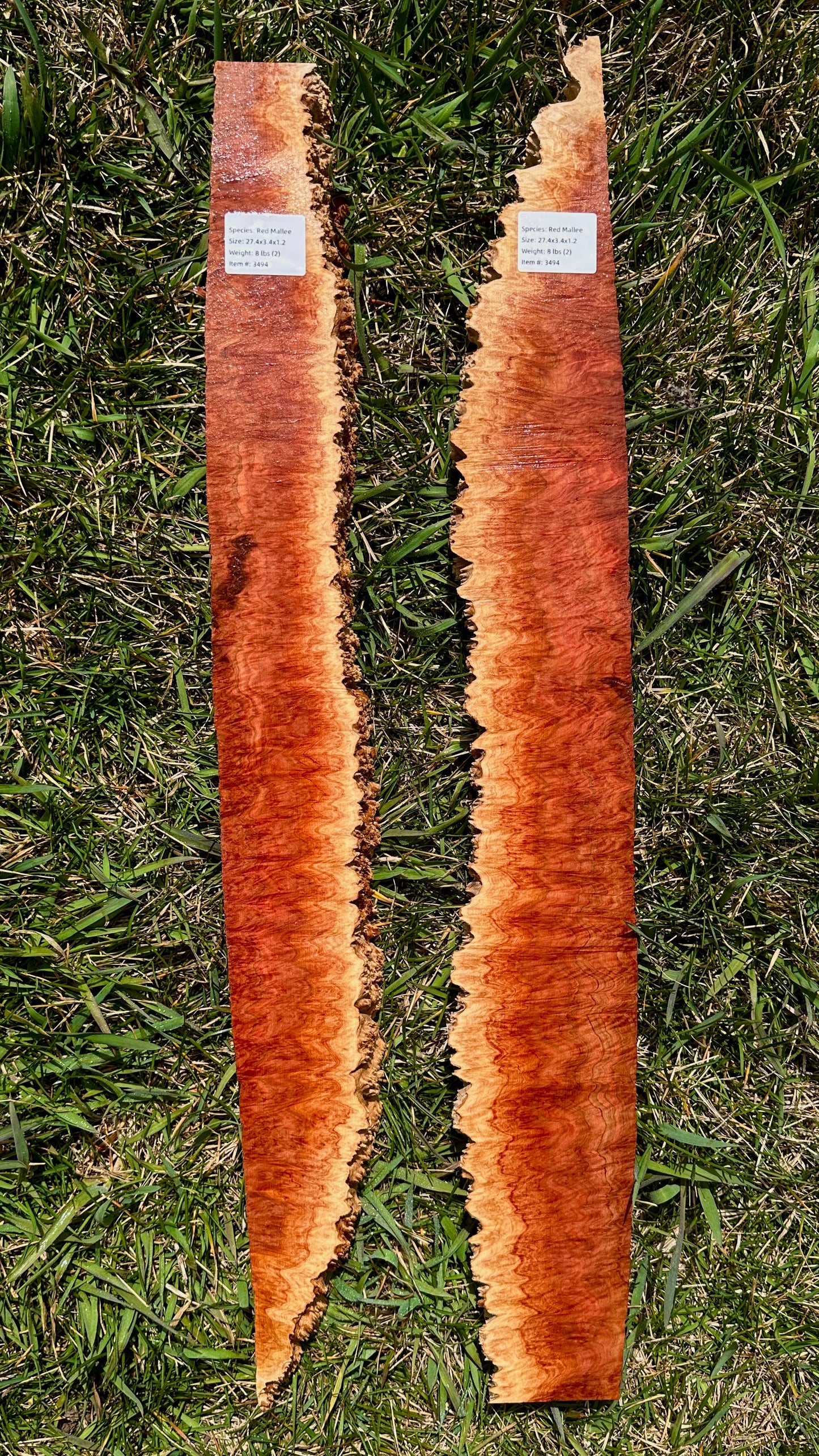 Red Mallee Burl Set #3494