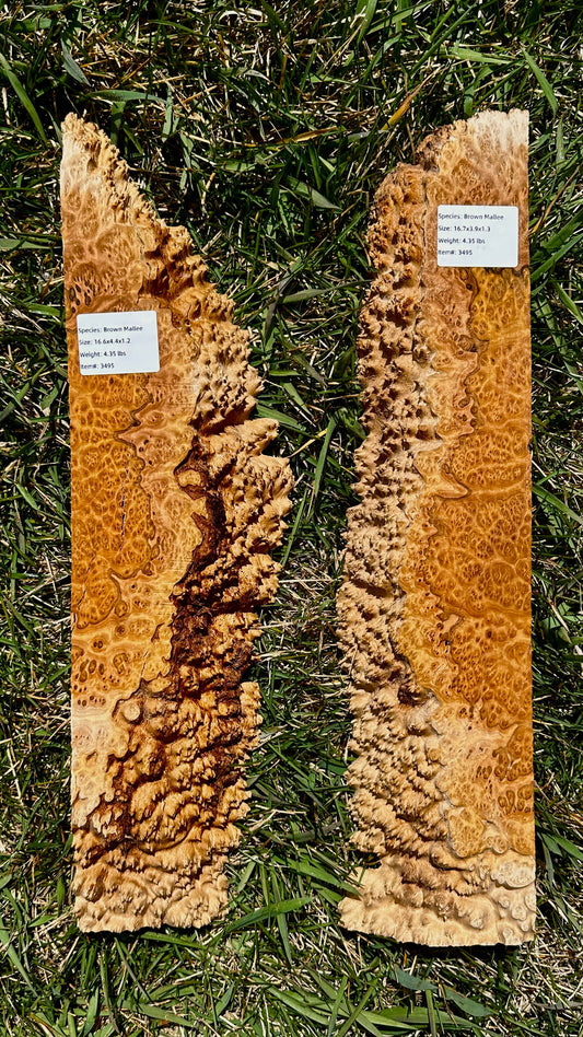 Brown Mallee Burl Set #3495
