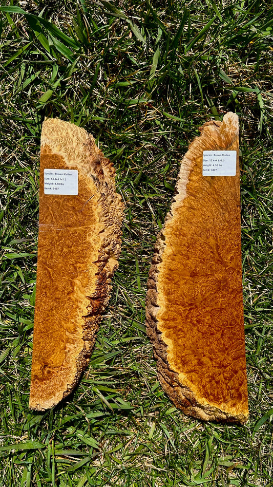 Brown Mallee Burl Set #3497