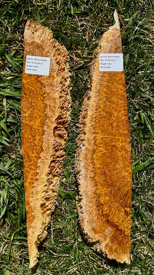 Brown Mallee Burl Set #3503