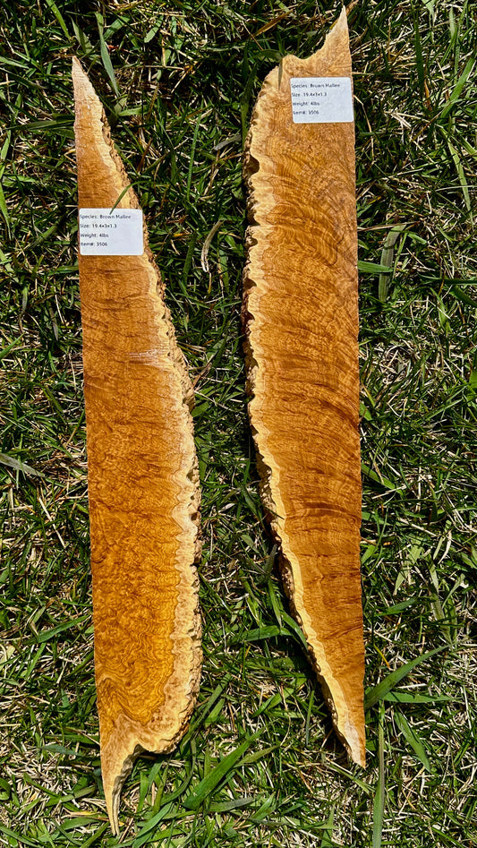 Brown Mallee Burl Set #3506