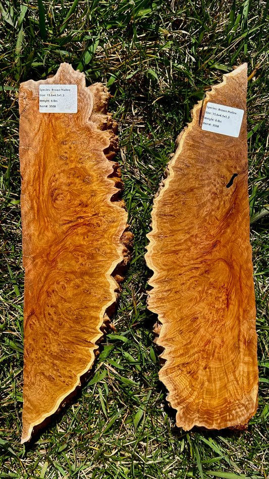 Brown Mallee Burl Set #3508