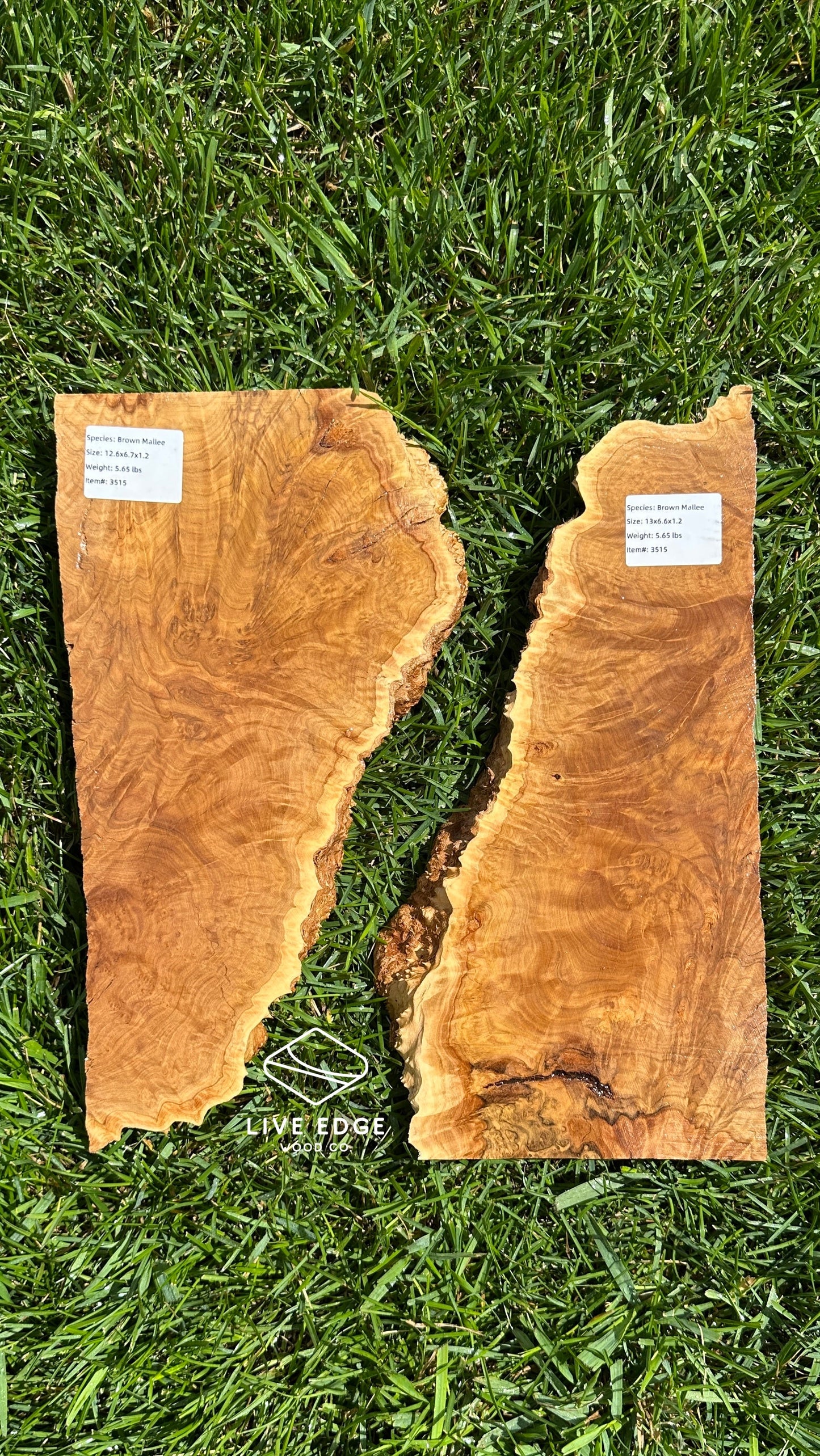 Brown Mallee Burl Set #3515