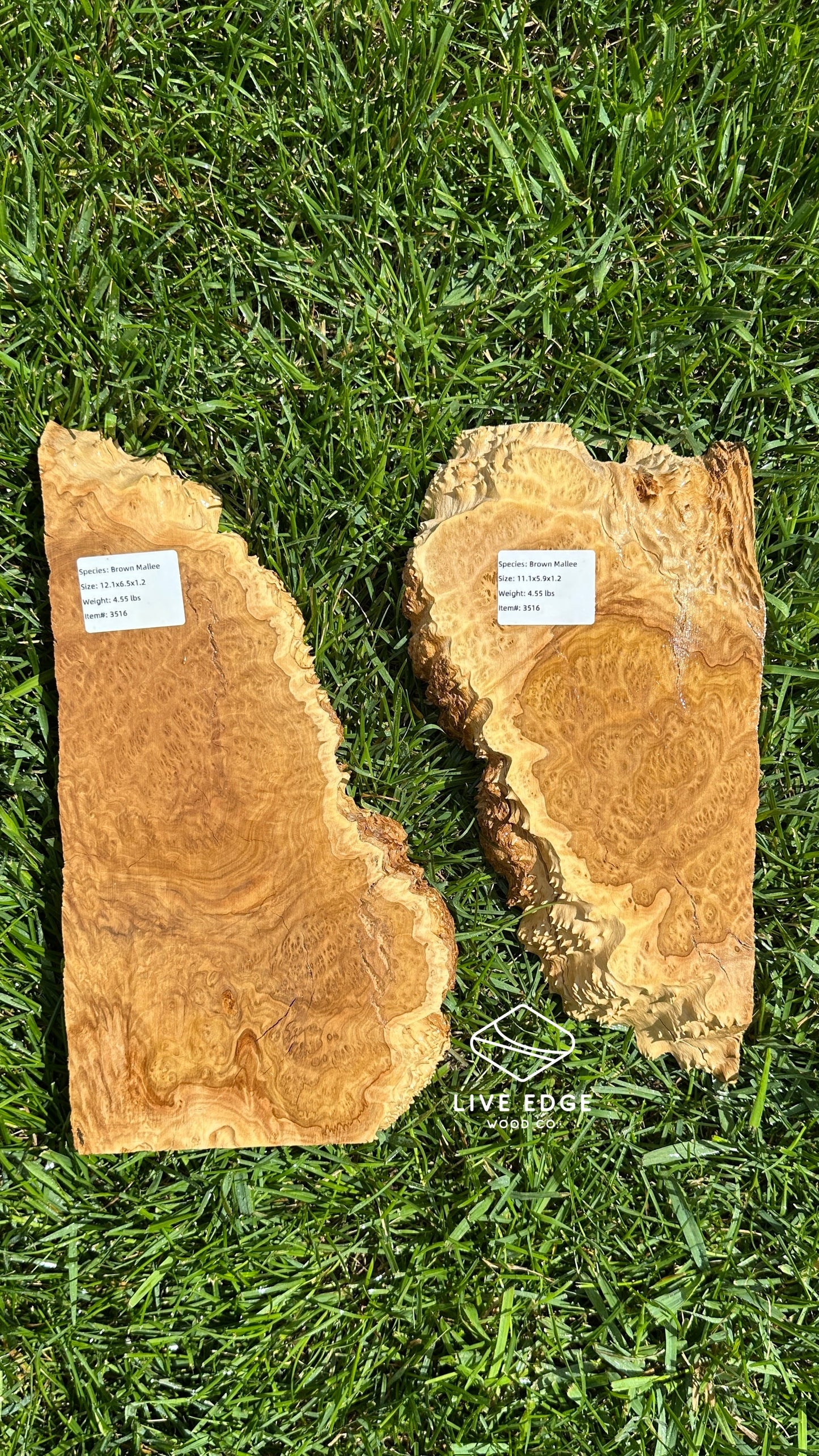 Brown Mallee Burl Set #3516