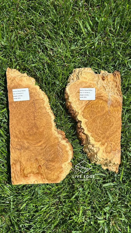 Brown Mallee Burl Set #3516
