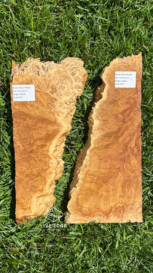 Brown Mallee Burl Set #3517