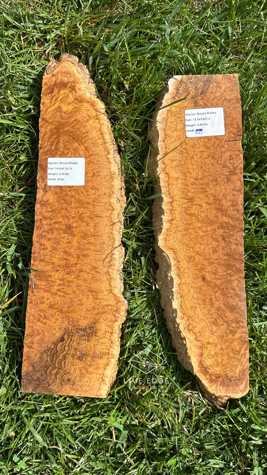 Brown Mallee Burl Set #3518