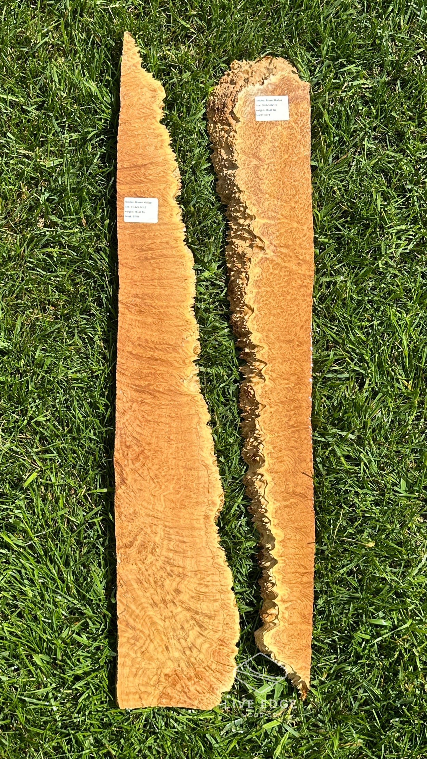 Brown Mallee Burl Set #3519