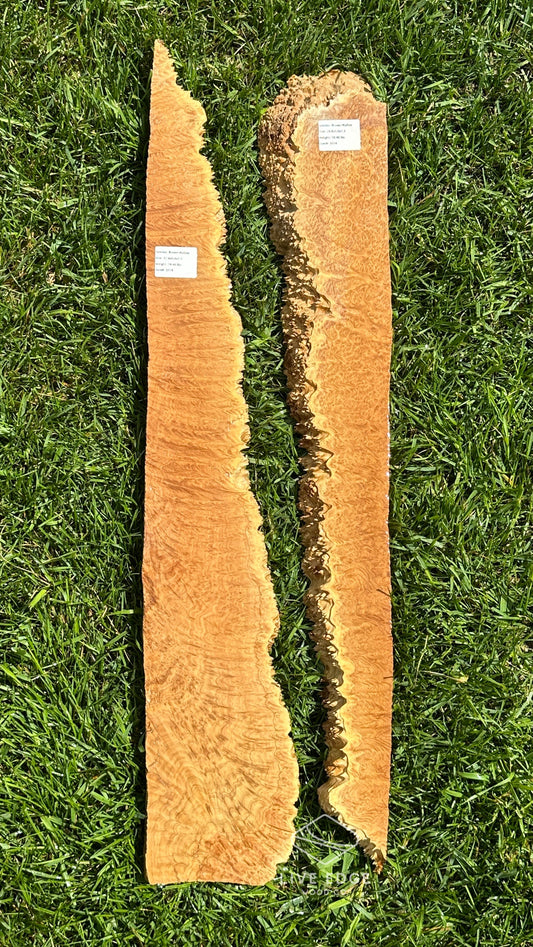 Brown Mallee Burl Set #3519