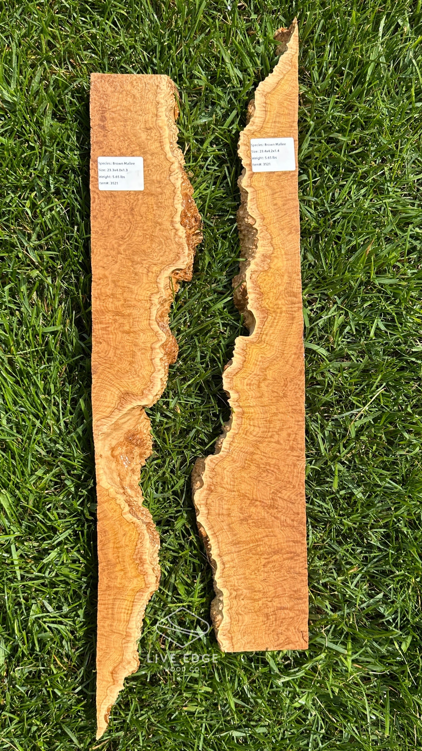 Brown Mallee Burl Set #3521