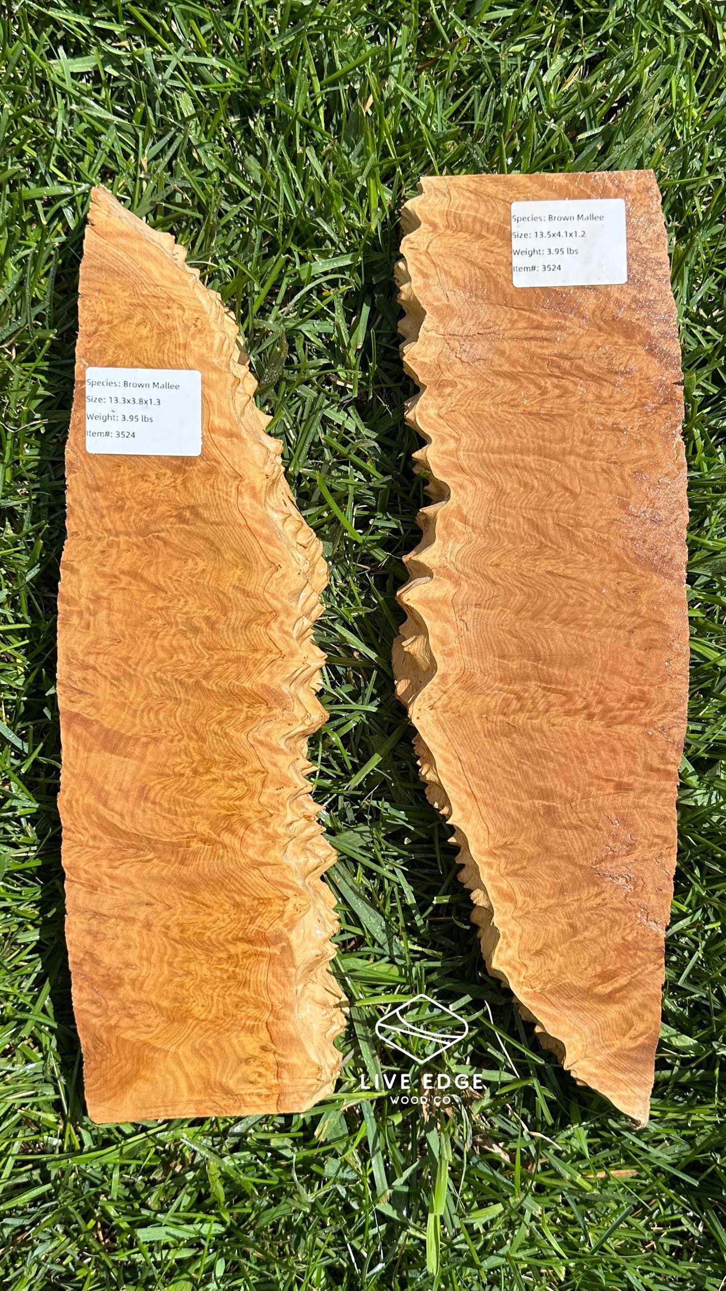 Brown Mallee Burl Set #3524