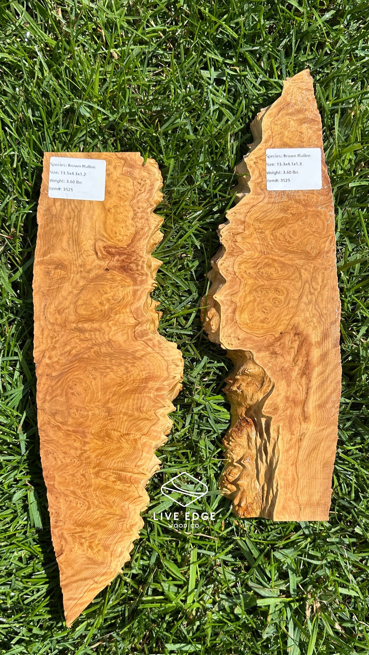 Brown Mallee Burl Set #3525
