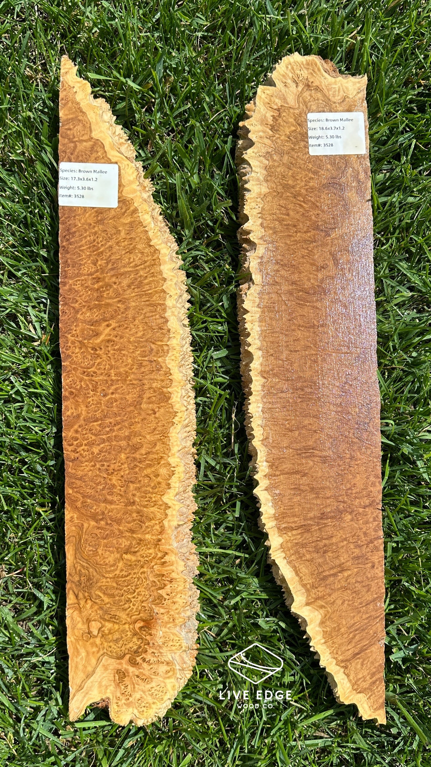 Brown Mallee Burl Set #3528