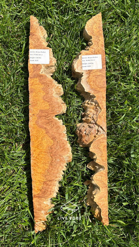 Brown Mallee Burl Set #3529