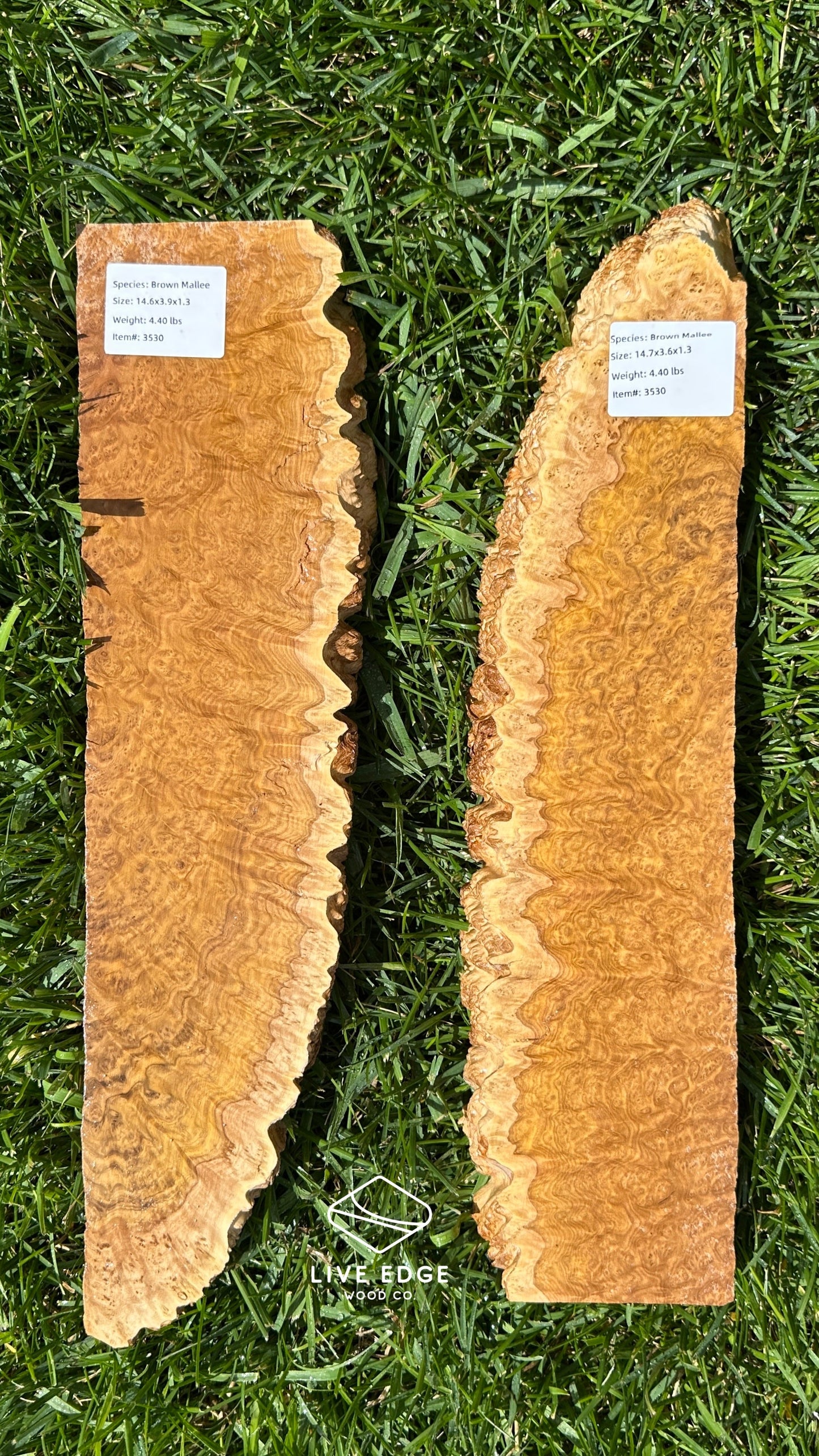 Brown Mallee Burl Set #3530