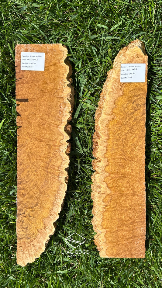 Brown Mallee Burl Set #3530