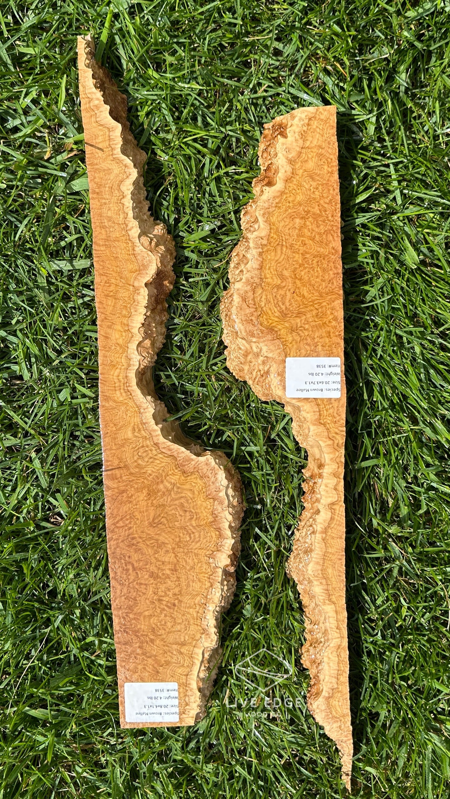 Brown Mallee Burl Set #3538