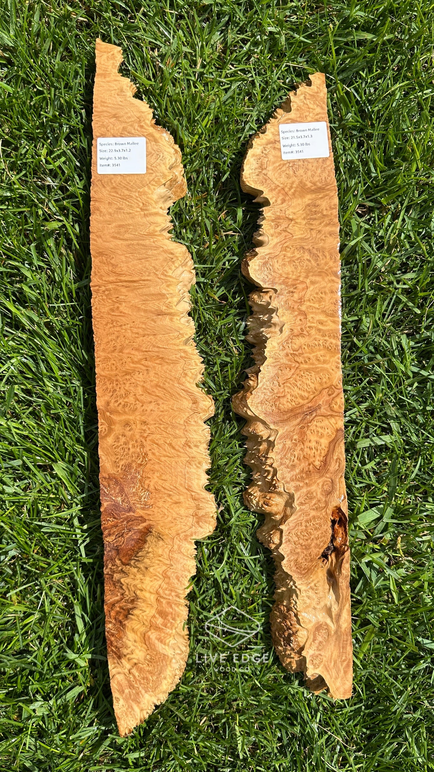 Brown Mallee Burl Set #3541