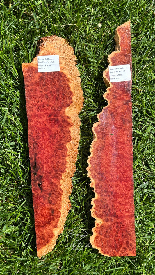 Red Mallee Burl Set #3542