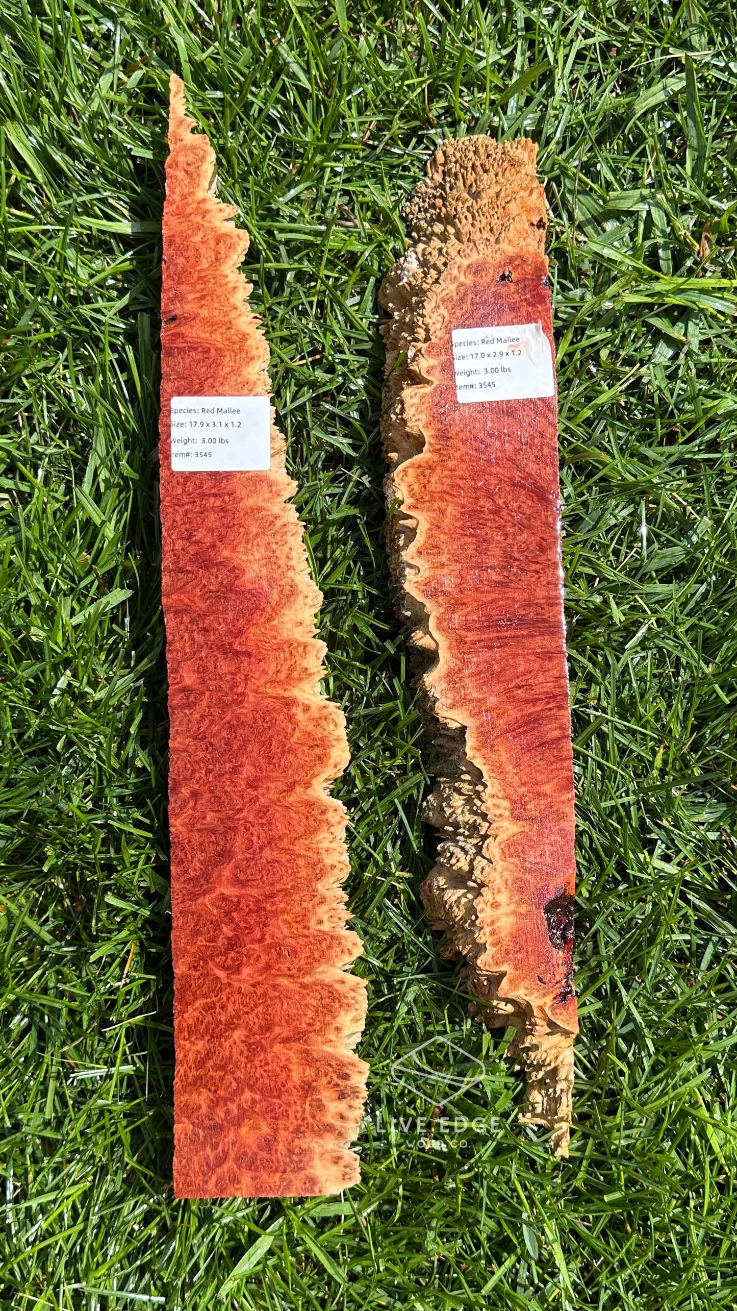 Red Mallee Burl Set #3545