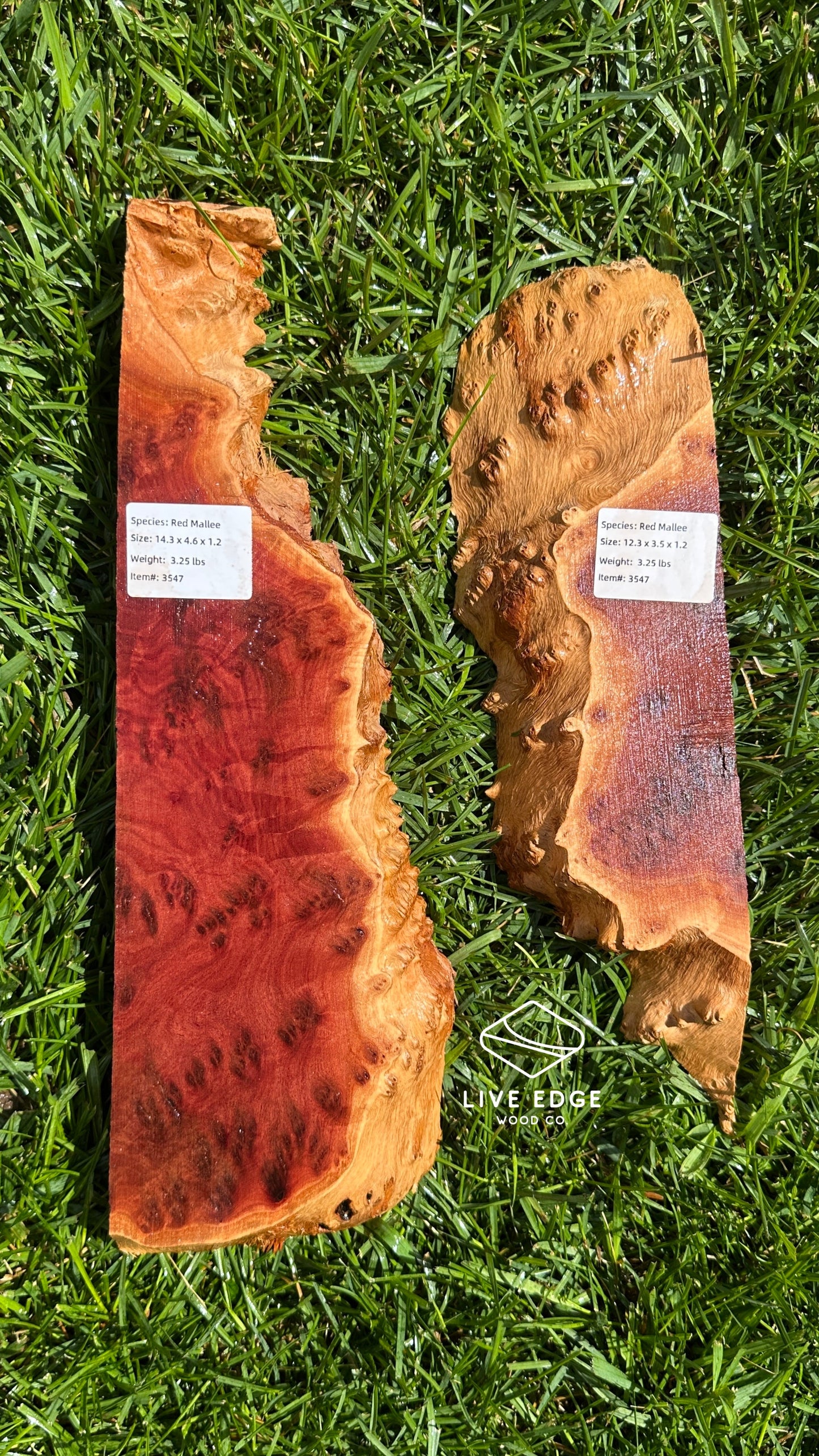 Red Mallee Burl Set #3547