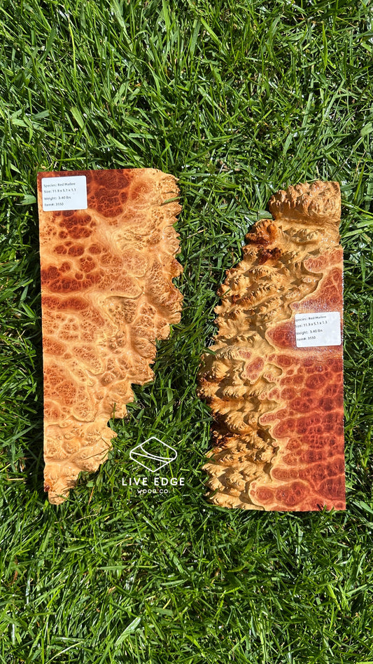 Red Mallee Burl Set #3550