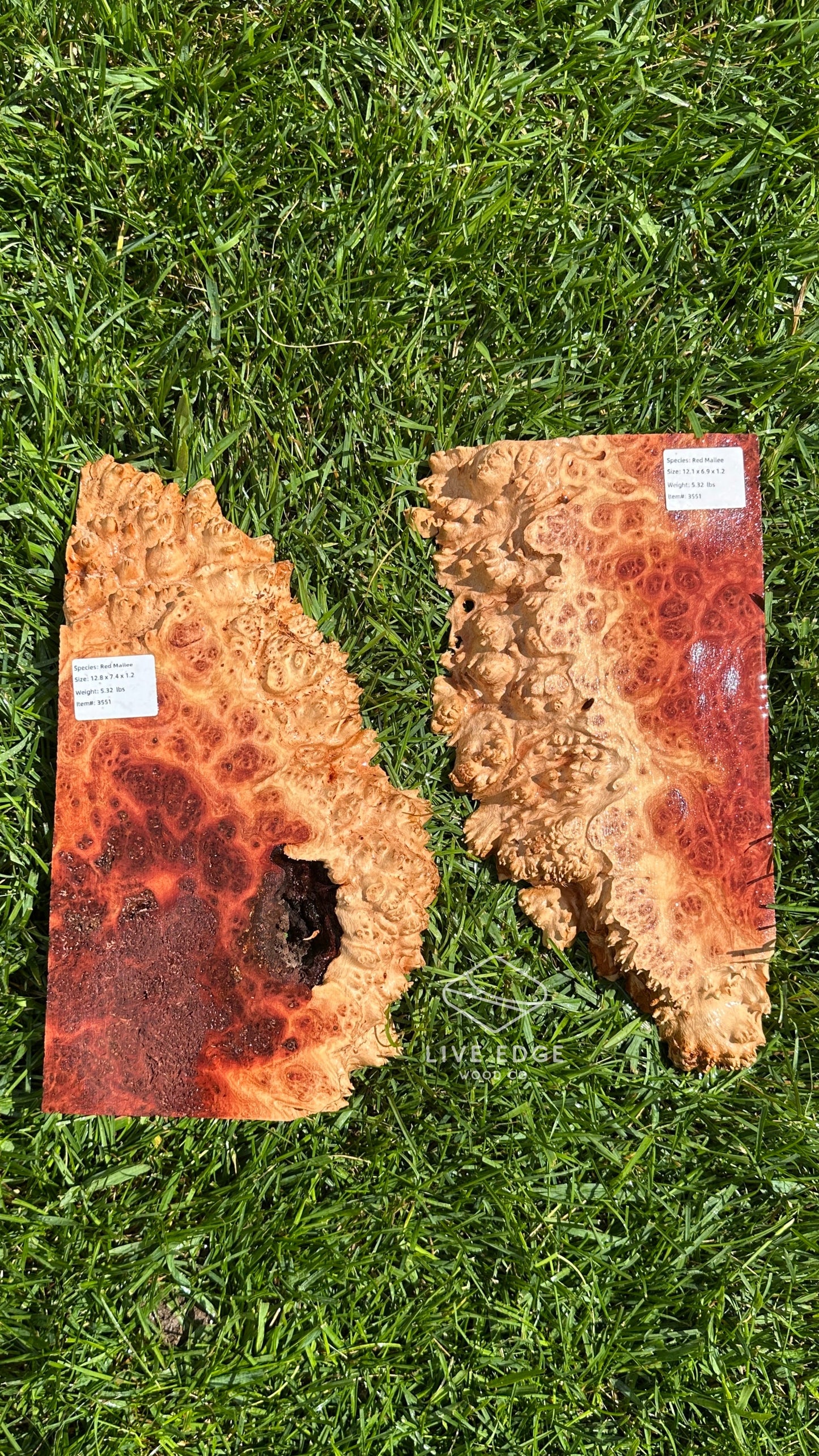 Red Mallee Burl Set #3551