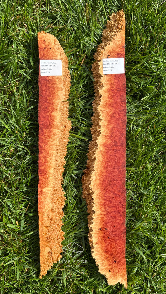 Red Mallee Burl Set #3552
