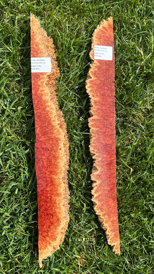 Red Mallee Burl Set #3553