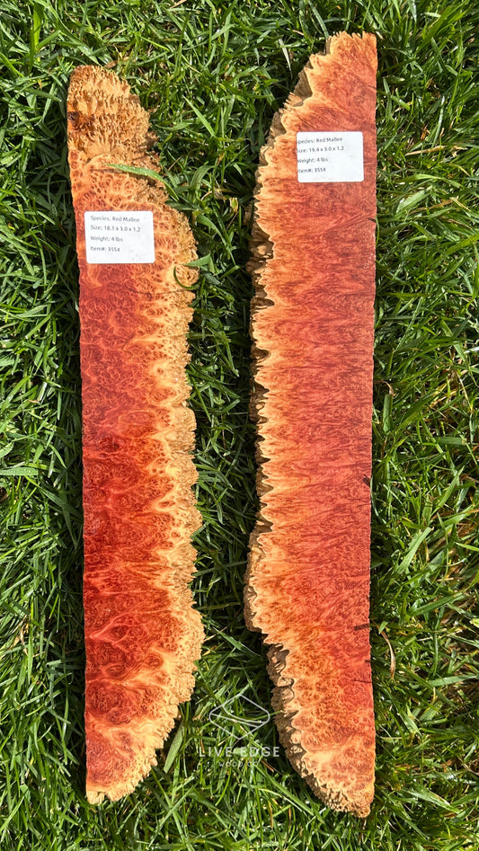 Red Mallee Burl Set #3554