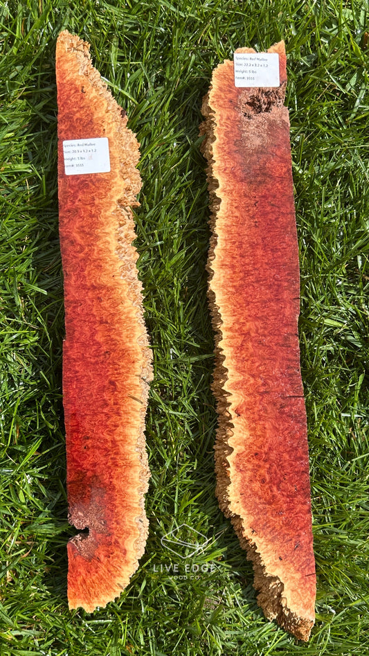 Red Mallee Burl Set #3555