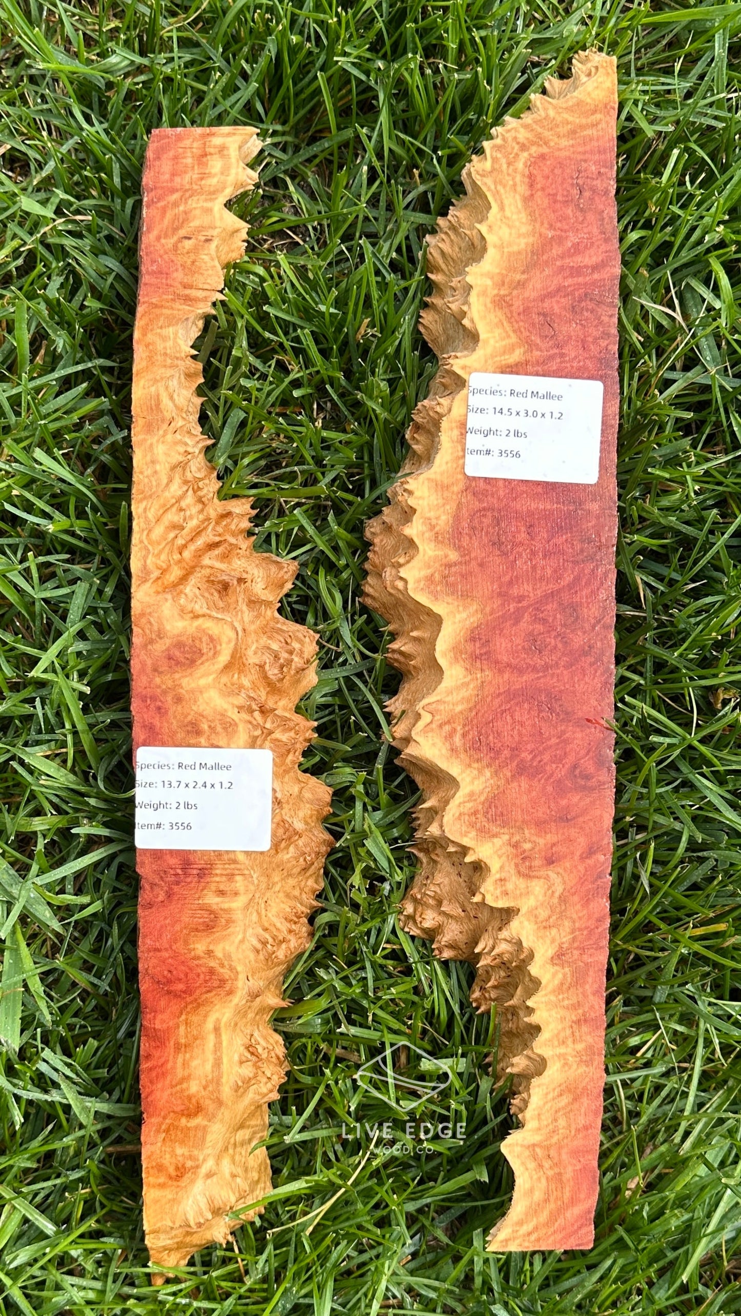 Red Mallee Burl Set #3556