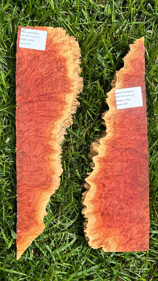 Red Mallee Burl Set #3557