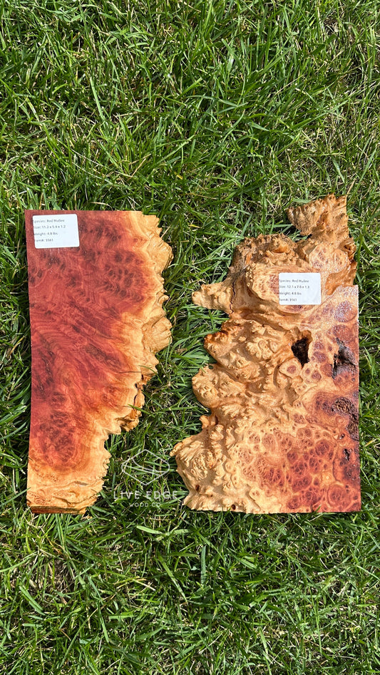 Red Mallee Burl Set #3561