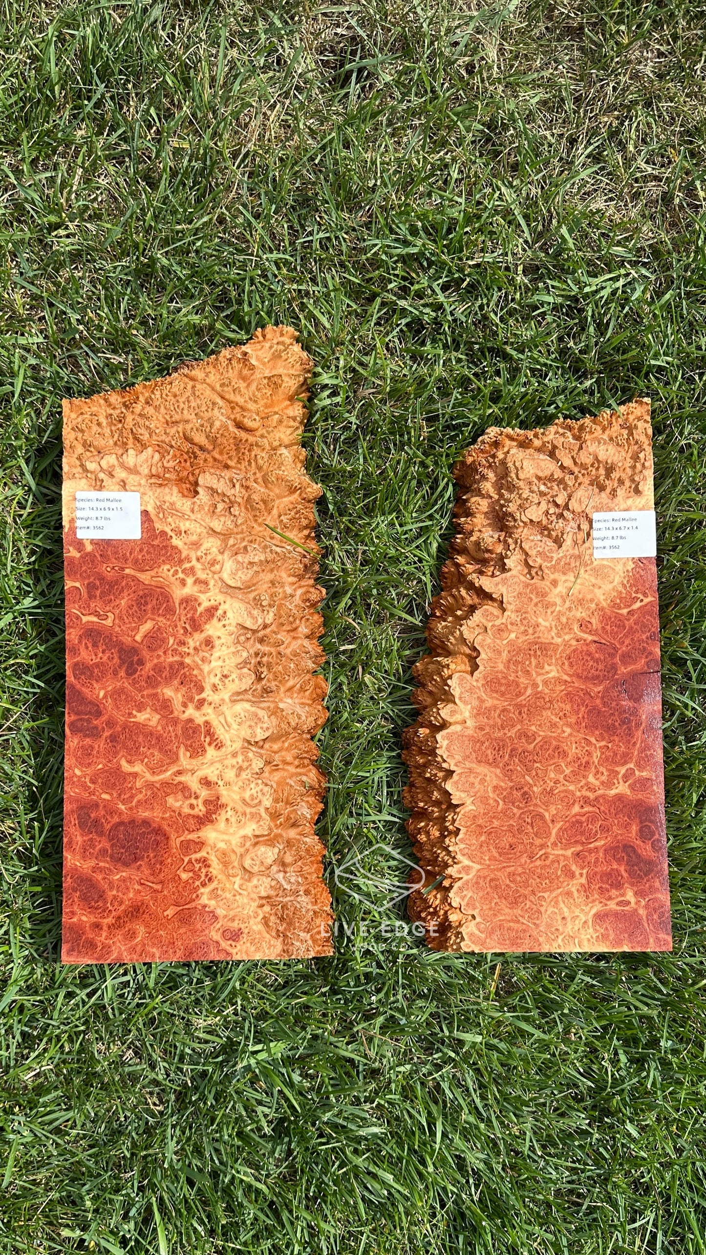 Red Mallee Burl Set #3562