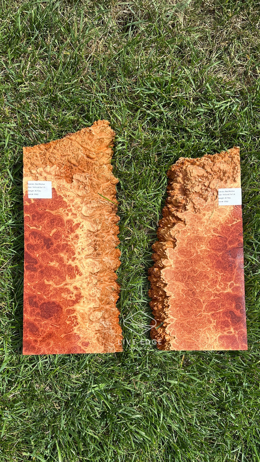 Red Mallee Burl Set #3562
