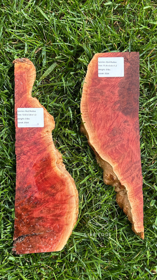 Red Mallee Burl Set #3564