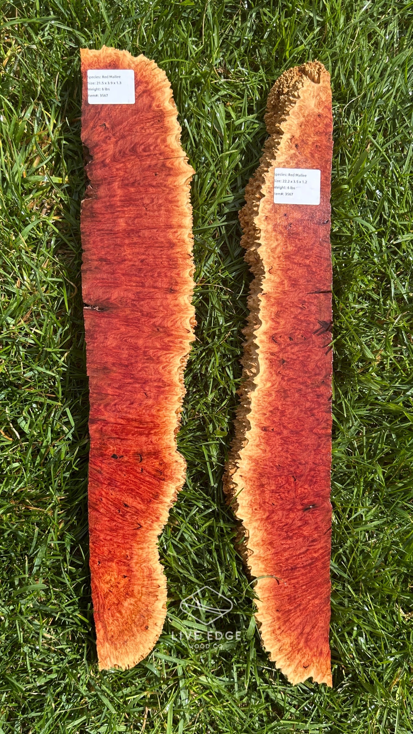 Red Mallee Burl Set #3567