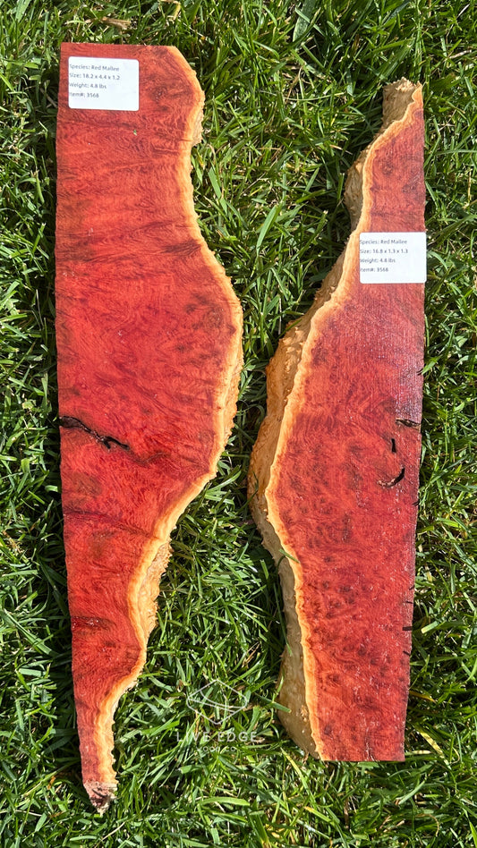 Red Mallee Burl Set #3568