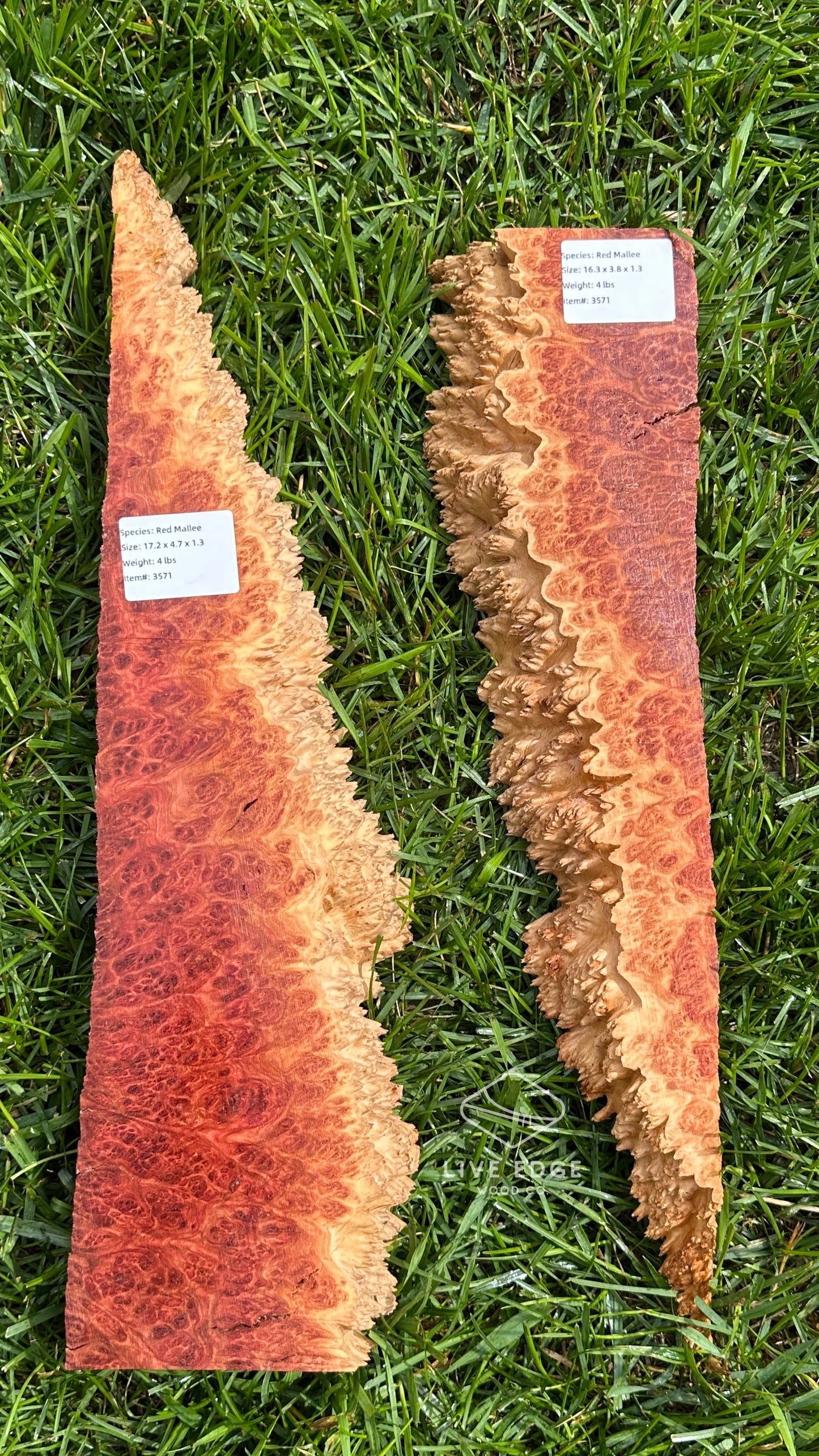 Red Mallee Burl Set #3571