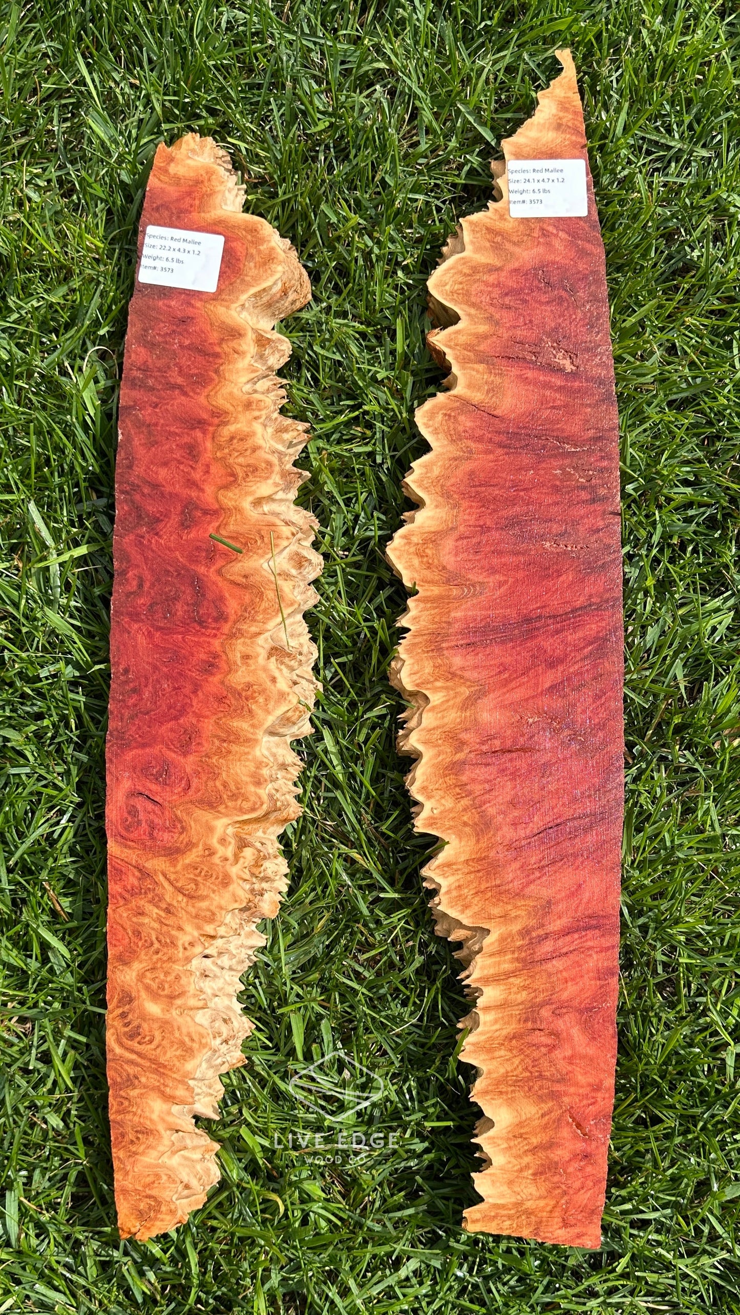 Red Mallee Burl Set #3573