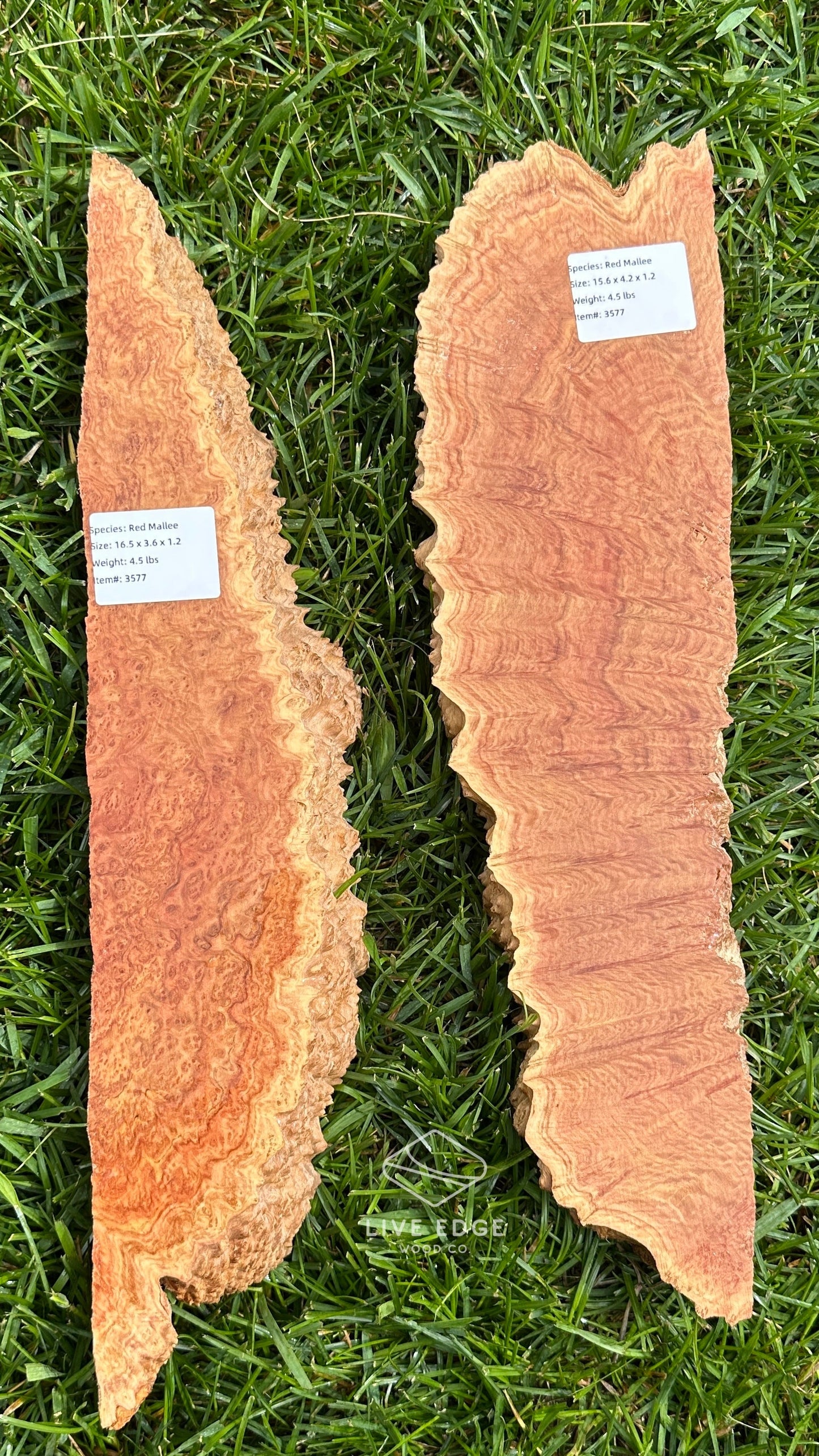 Red Mallee Burl Set #3577