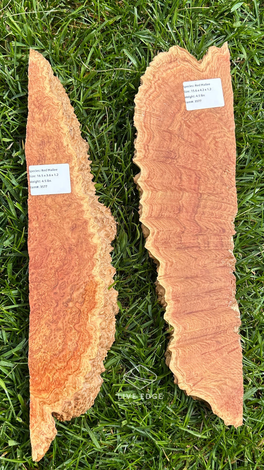 Red Mallee Burl Set #3577