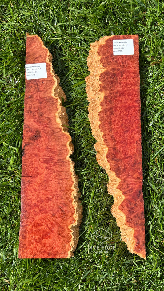 Red Mallee Burl Set #3578