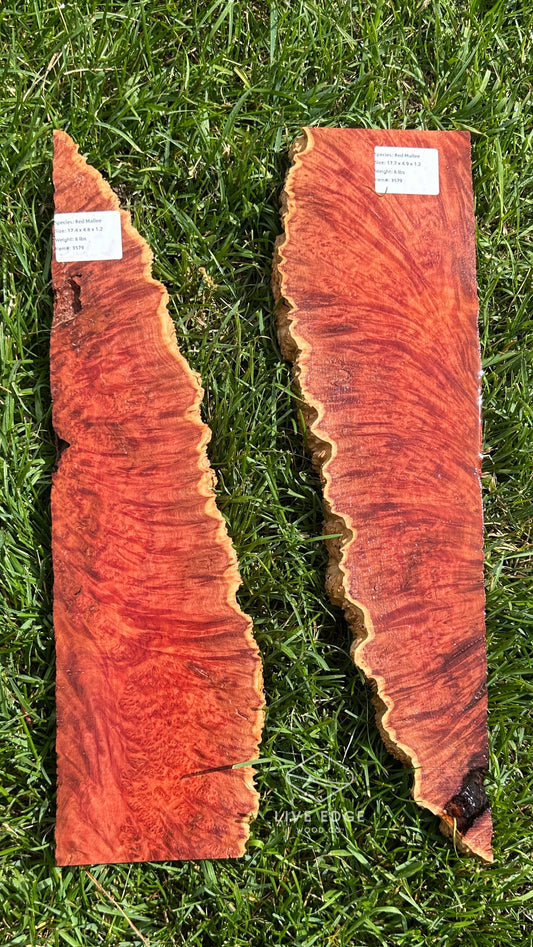 Red Mallee Burl Set #3579