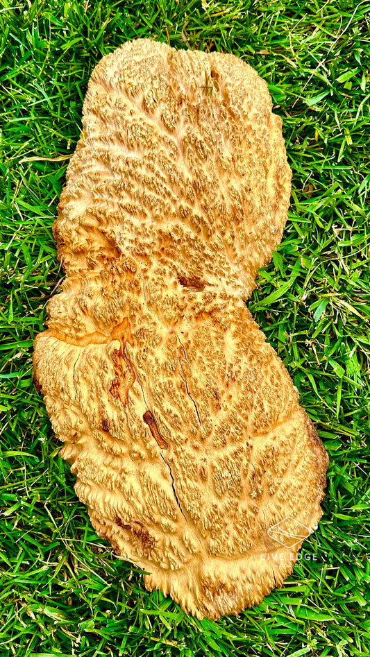 Brown Mallee Burl Cap #3585