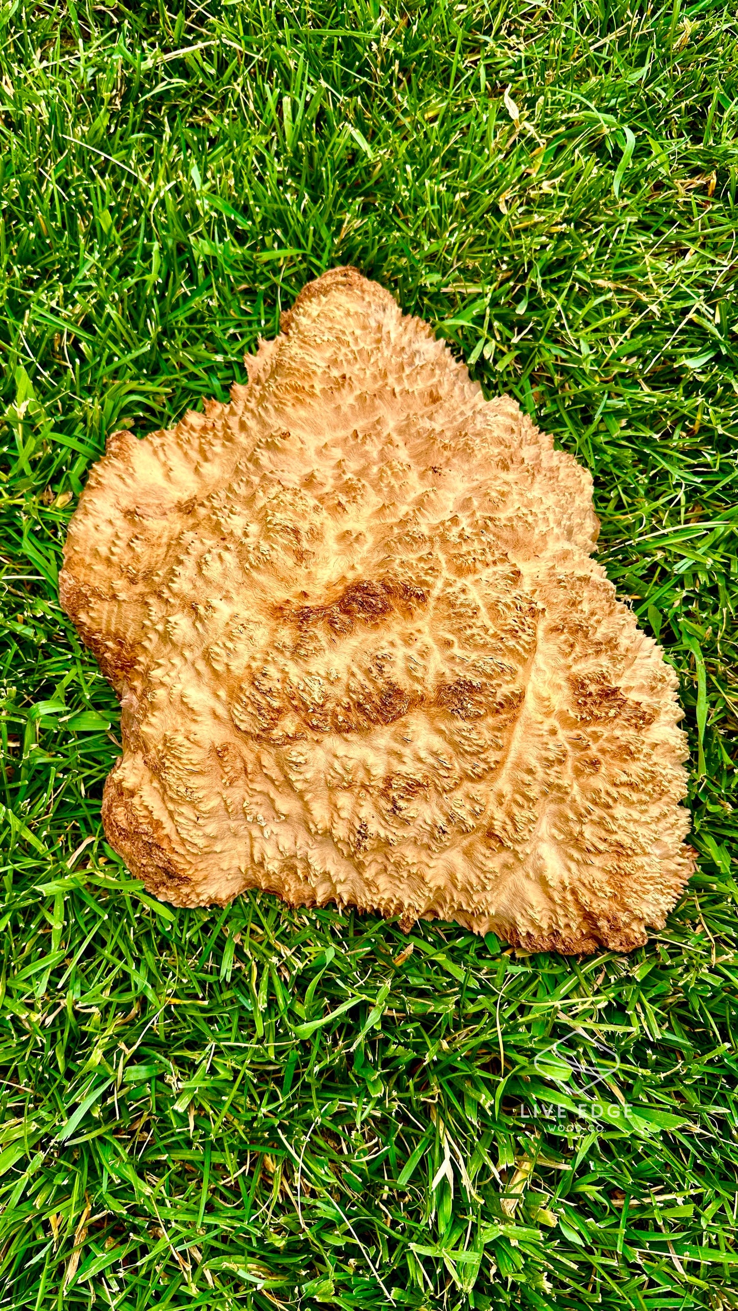 Brown Mallee Burl Cap #3587