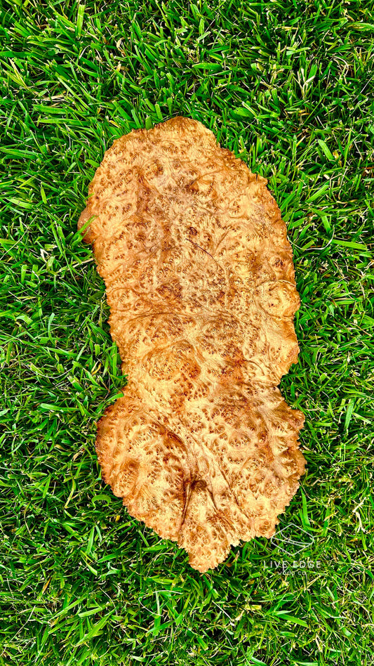 Red Mallee Burl Cap #3592