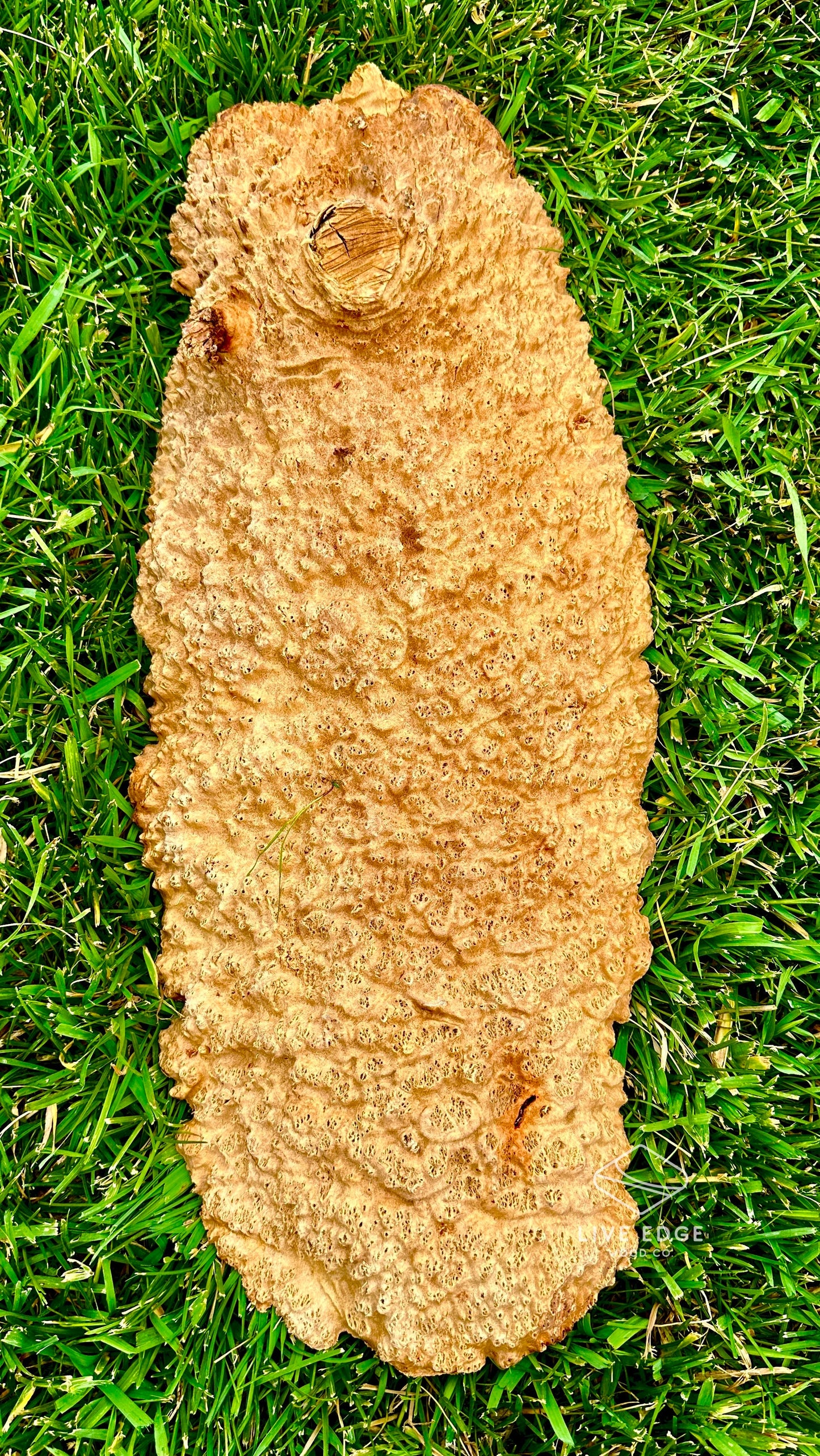 Red Mallee Burl Cap #3594