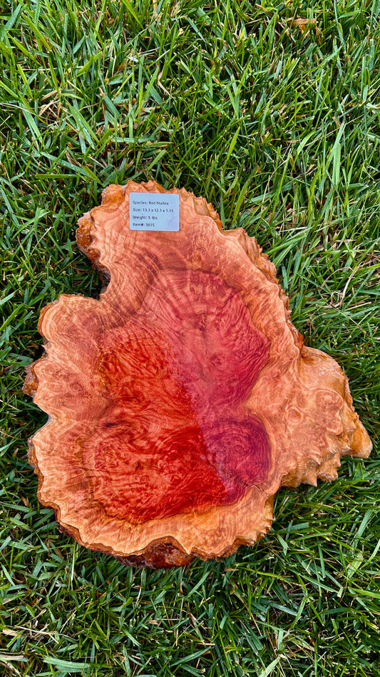 Red Mallee Burl Small Round #3615